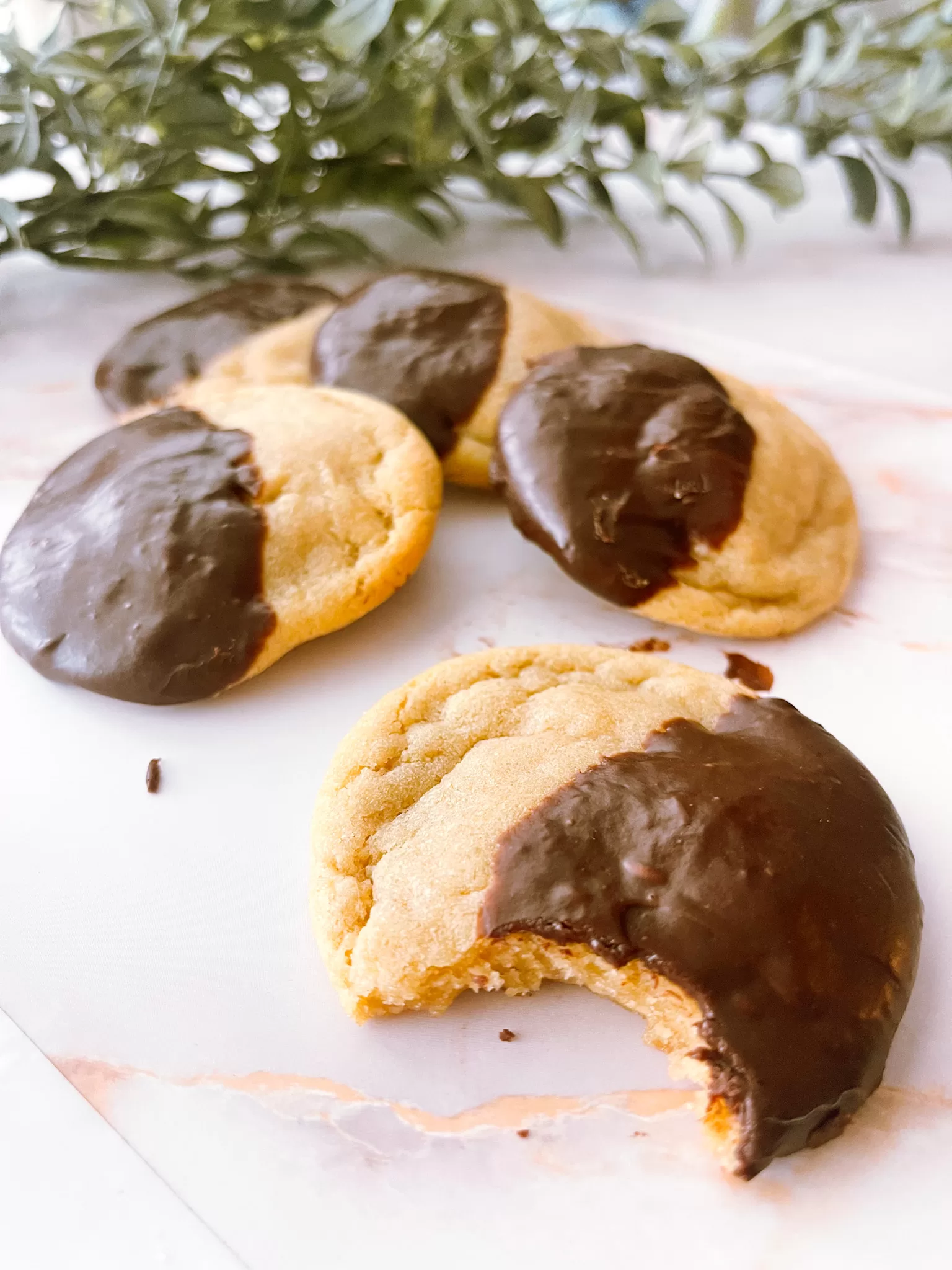 Chocolate Dipped Chipless Cookies