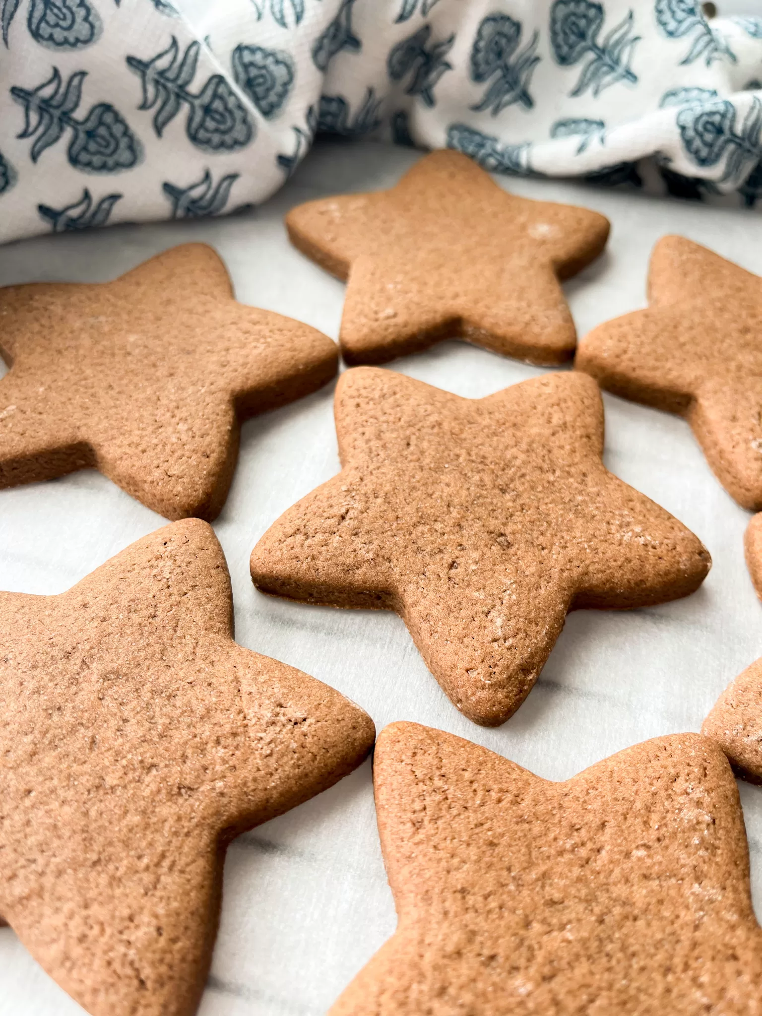 Chocolate Sugar Cookie Cutouts