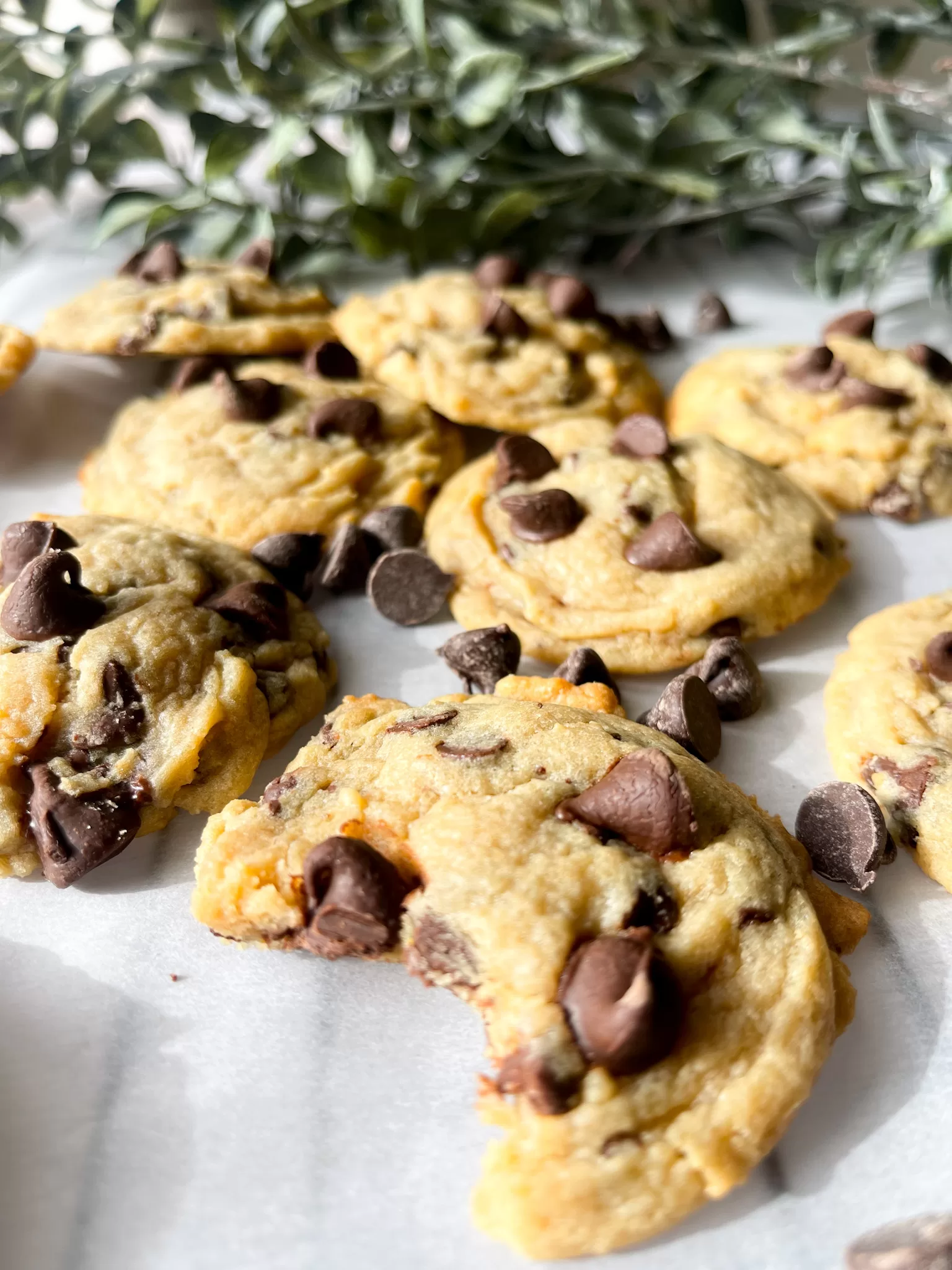 Chocolate Chip Pudding Cookies